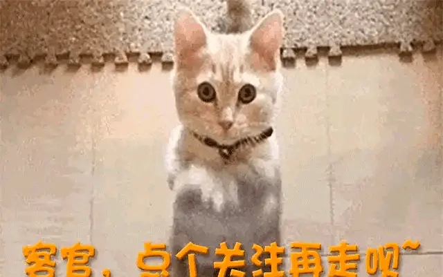 他重返第一, https 他重返第一, https